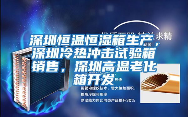 深圳恒溫恒濕箱生產,深圳冷熱沖擊試驗箱銷售,深圳高溫老化箱開發