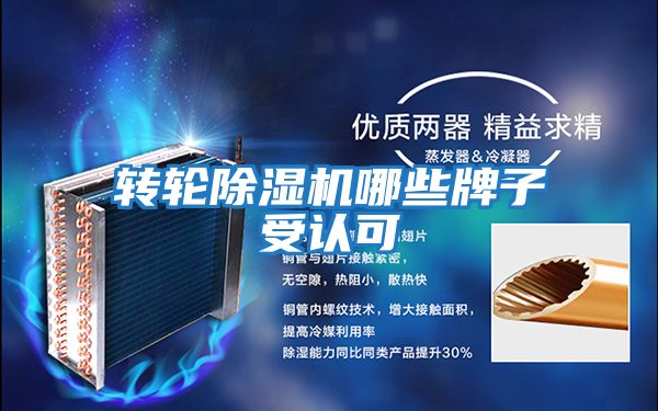 轉(zhuǎn)輪除濕機哪些牌子受認(rèn)可