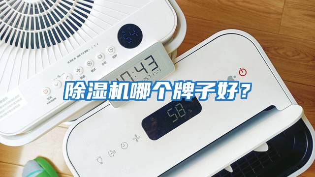 除濕機哪個牌子好?