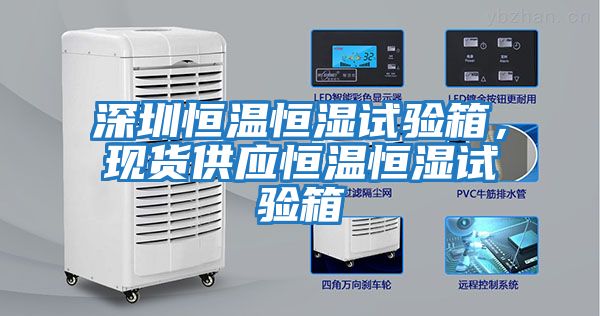 深圳恒溫恒濕試驗箱,現貨供應恒溫恒濕試驗箱