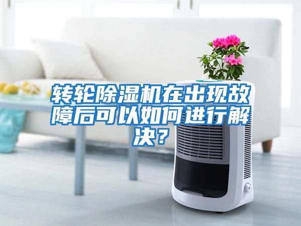 轉輪除濕機在出現故障后可以如何進行解決?