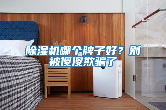 除濕機哪個牌子好?別被傻傻欺騙了