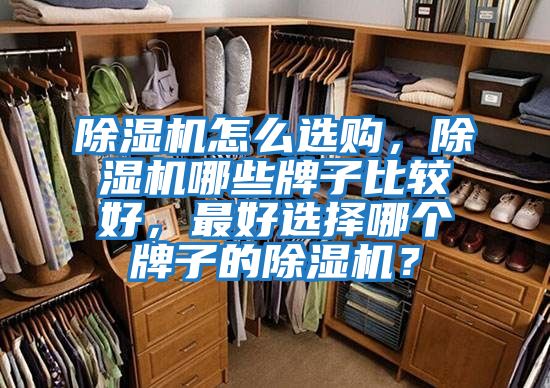 除濕機怎么選購，除濕機哪些牌子比較好，最好選擇哪個牌子的除濕機？