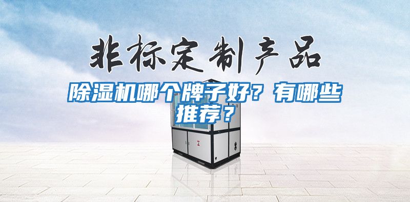 除濕機哪個牌子好？有哪些推薦？