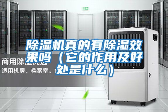 除濕機(jī)真的有除濕效果嗎(它的作用及好處是什么)