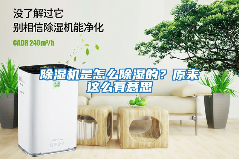 除濕機是怎么除濕的？原來這么有意思