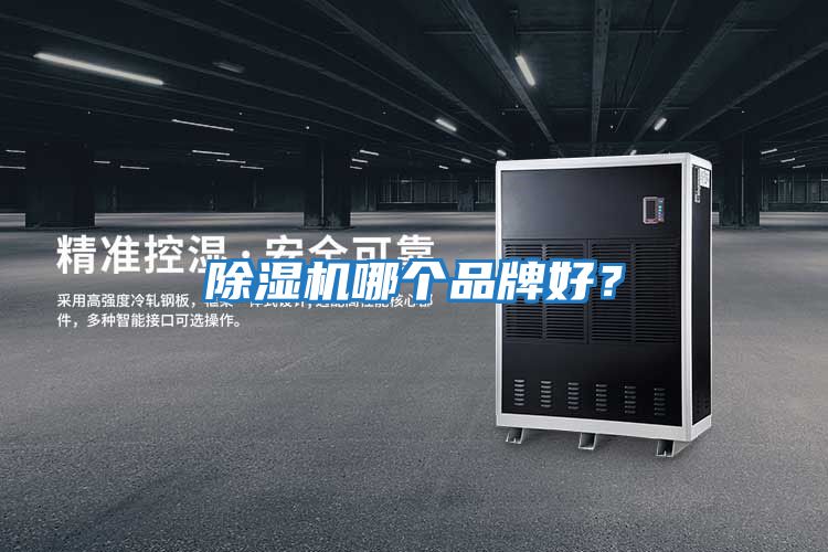 除濕機(jī)哪個品牌好?