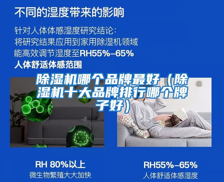 除濕機哪個品牌最好(除濕機十大品牌排行哪個牌子好)