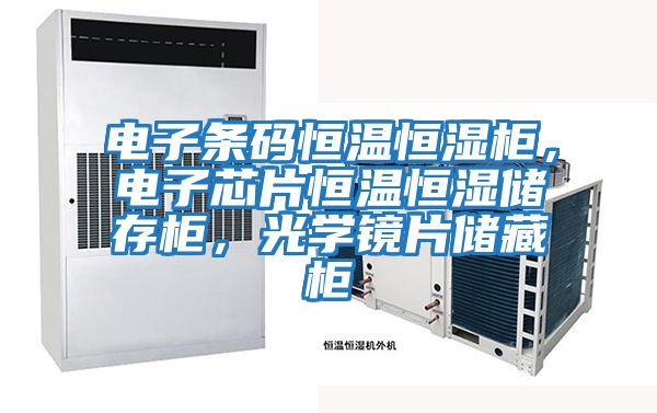電子條碼恒溫恒濕柜,電子芯片恒溫恒濕儲存柜,光學鏡片儲藏柜