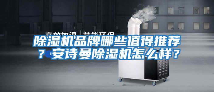 除濕機(jī)品牌哪些值得推薦?安詩曼除濕機(jī)怎么樣?