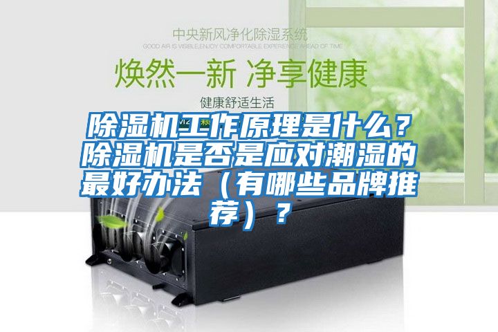 除濕機工作原理是什么？除濕機是否是應對潮濕的最好辦法（有哪些品牌推薦）？