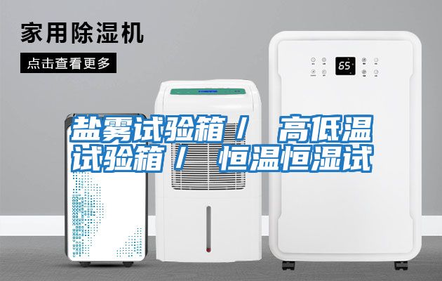 鹽霧試驗箱/ 高低溫試驗箱/ 恒溫恒濕試