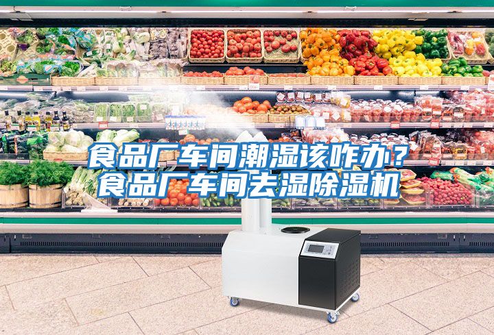 食品廠車間潮濕該咋辦?食品廠車間去濕除濕機(jī)