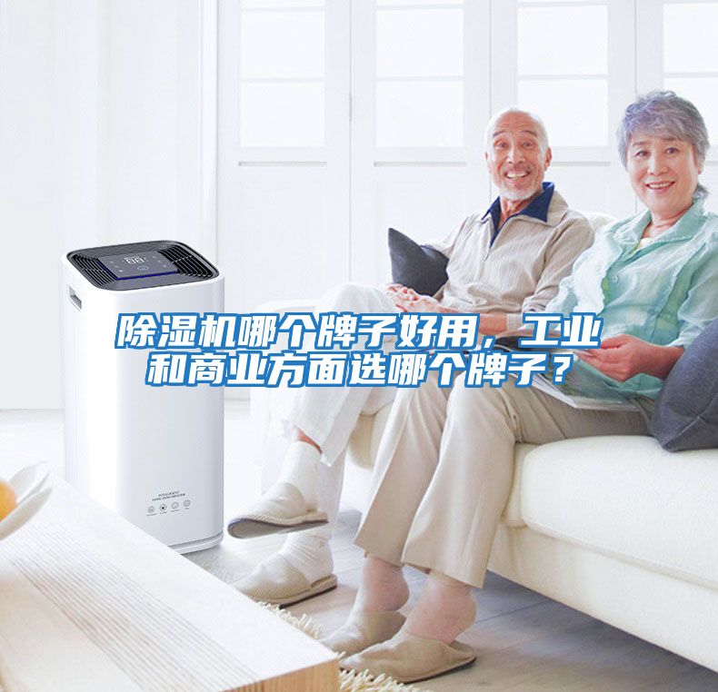 除濕機哪個牌子好用,工業和商業方面選哪個牌子?