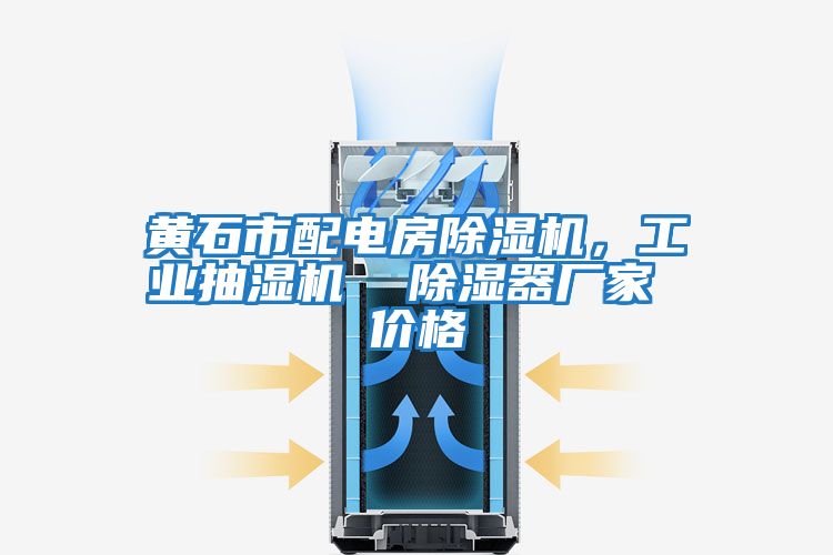 黃石市配電房除濕機，工業抽濕機  除濕器廠家 價格