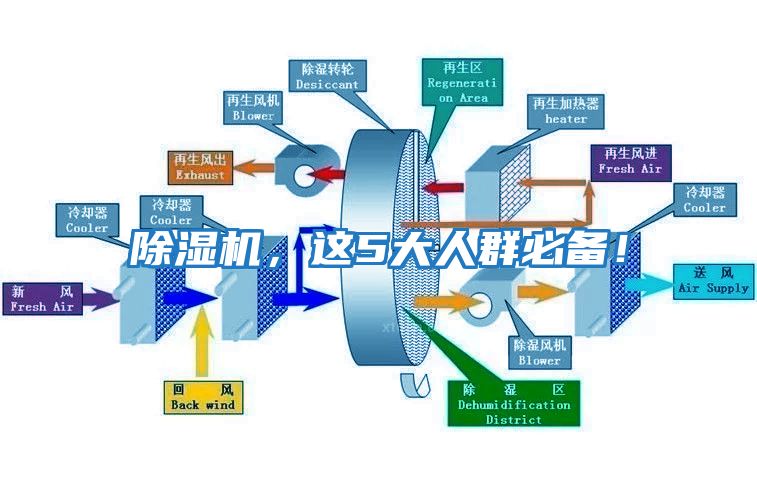 除濕機(jī),這5大人群必備!