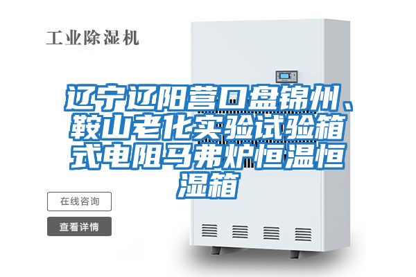 遼寧遼陽營口盤錦州、鞍山老化實驗試驗箱式電阻馬弗爐恒溫恒濕箱